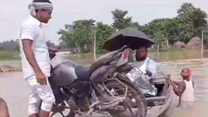 सहरसा: कोसी ने मचाई तबाही, तटबंध के अंदर बसे लोगों का सड़क से संपर्क टूटा