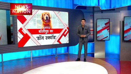 International Dogs Day: बॉलीवुड से लेकर हॉलीवुड तक डॉग ने फिल्मों पर अपनी छाप छोड़ी है