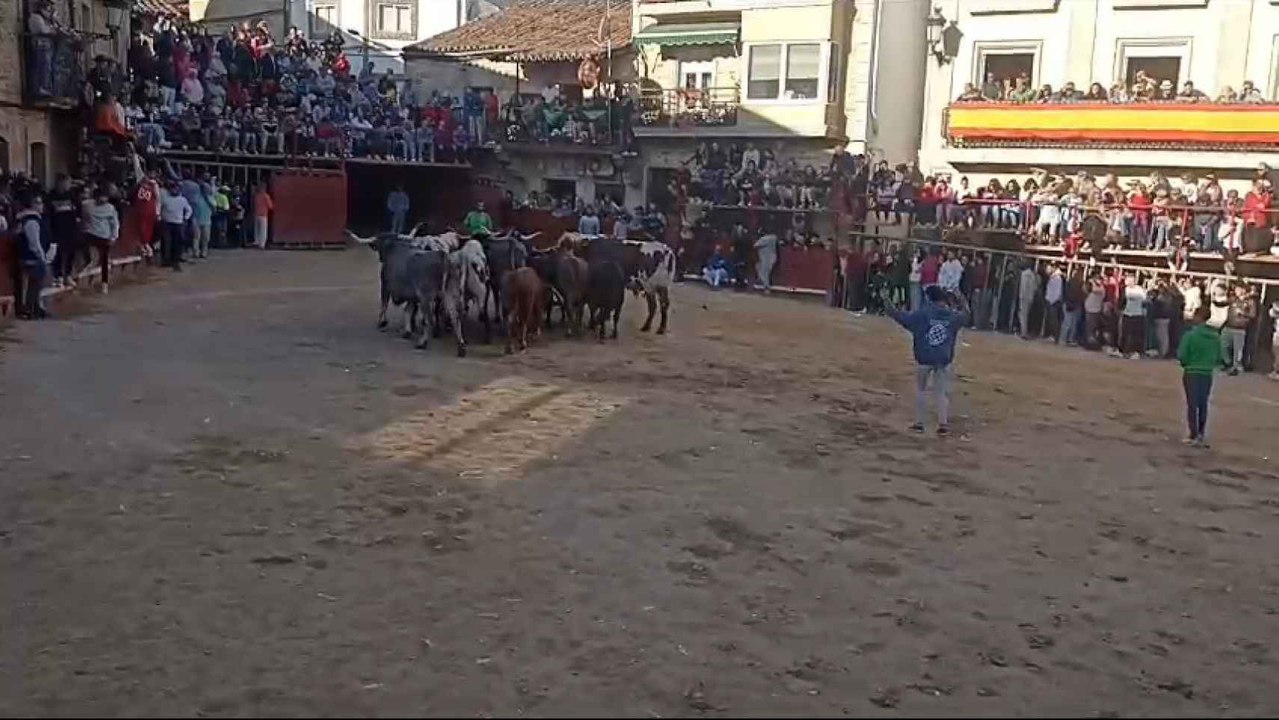 Encierro Aldeadávila 2023