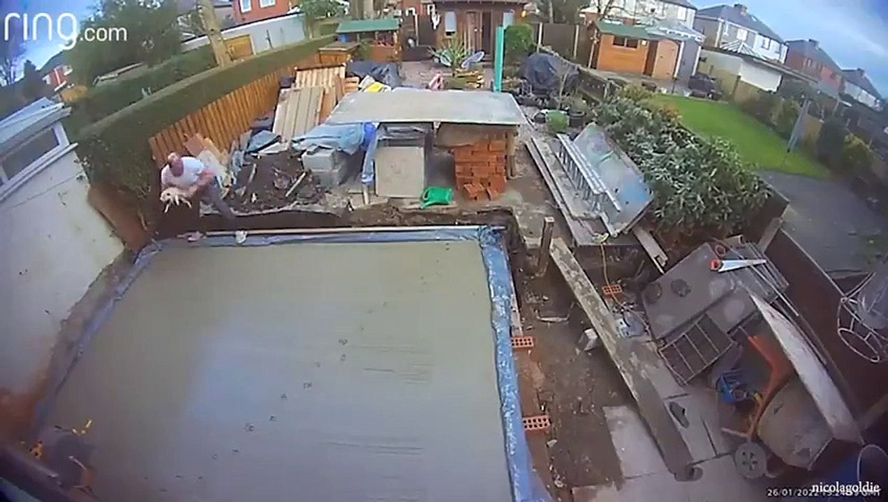 20 Minutes Trending Funny Animals  Funniest Cats and Dogs