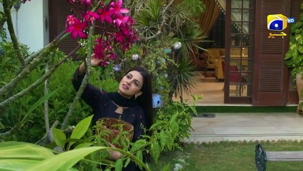 Sirf Tum 2nd Last Mega Episode 47 (Part 02) - [Eng Sub] - Anmol Baloch - Hamza Sohail - Mohsin Abbas