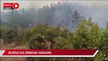 Bursa'da orman yangını: Helikopter ve uçak bölgeye hareket etti