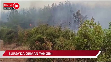 Télécharger la video: Bursa'da orman yangını: Helikopter ve uçak bölgeye hareket etti