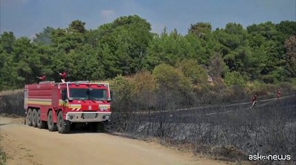 Grecia, brucia ancora il Parco nazionale della foresta di Dadia