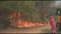 Grecia, brucia ancora il Parco nazionale della foresta di Dadia