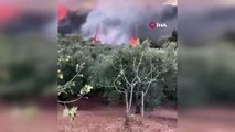 Bursa'da Ormanlık Alanda Çıkan Yangın Hızla İlerliyor