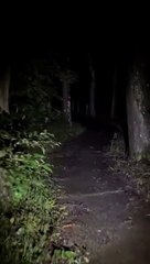 Jelajah hutan angker tengah malam sendirian