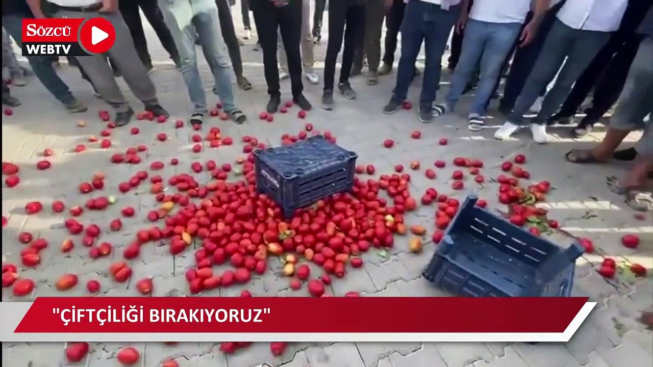 Konya’da domatesi para etmeyen üretici ürününü yere döktü: "Cumhurbaşkanımız duysun, çiftçiliği bırakıyoruz"