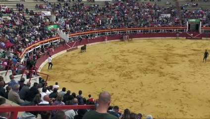 Capea del 2 de Septiembre - San Antolín 2023 Medina del Campo