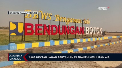 Download Video: 2.488 Hektar Lahan Pertanian di Sragen Kesulitan Air