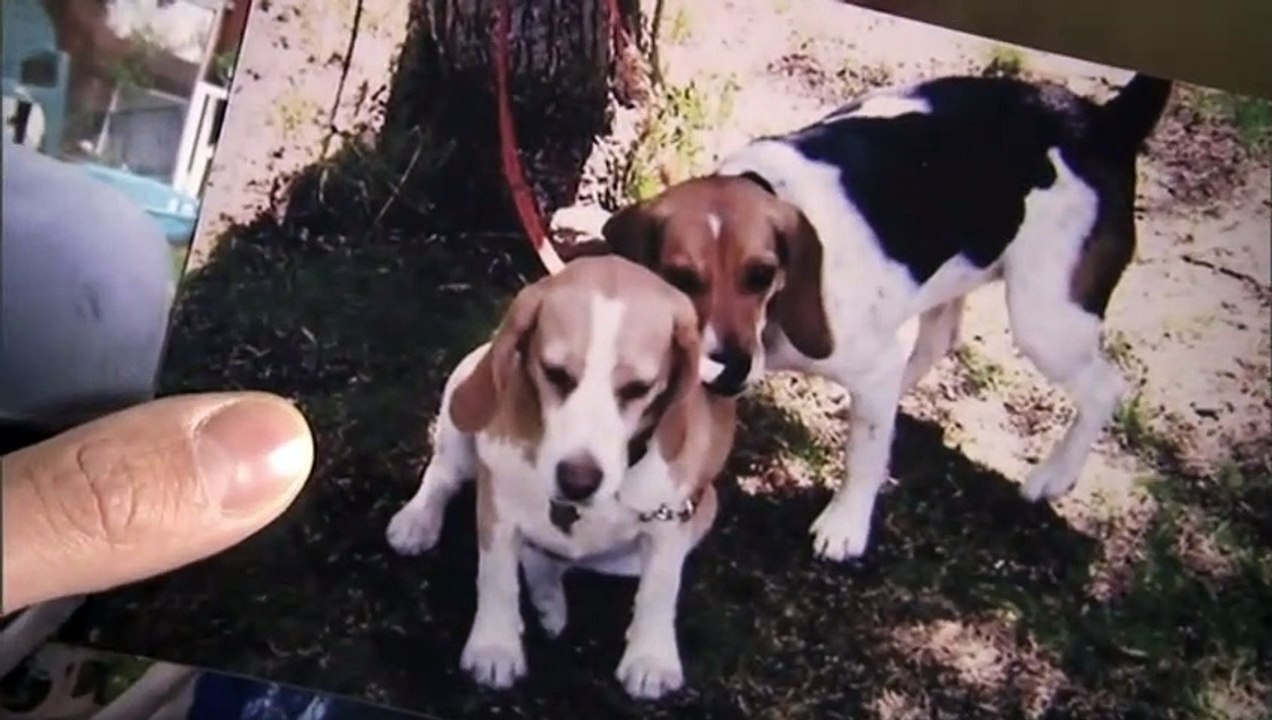 Catching Killers Season 1 Episode 5 Controlling Killers فيديو Dailymotion