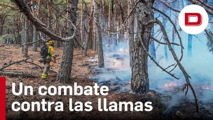La lucha de los bomberos contra el fuego en Miraflores de la Sierra