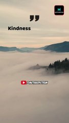 Kindness and Respect | Respect Quote | #respect #motivation #shorts