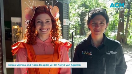 Emma Memma | Port Macquarie News | August 28