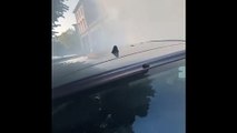 Firenze, auto in fiamme in piazza della Libert?: disagi alla circolazione