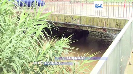 España | Las tormentas provocan el choque de un crucero con un petrolero en Mallorca