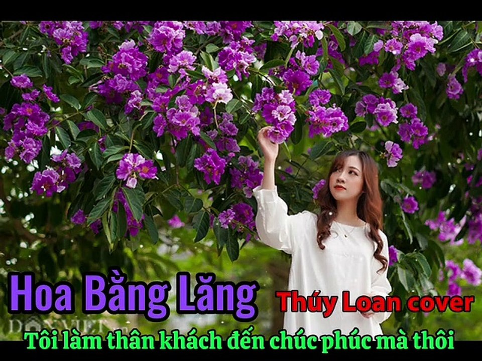 HBL Cover