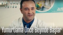 Kadınlarda yumurtlama önce beyinde başlar  ‍⚕️