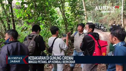 Kebakaran di Gunung Ciremai Kuningan Ancam Hutan Pinus
