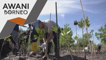 Inisiatif pucuk hijau UMW sasar tanam 2,000 anak pokok bakau