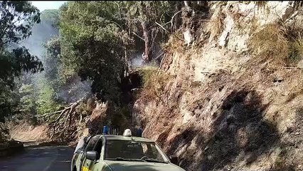 Incendio sui Colli Sarrizzo