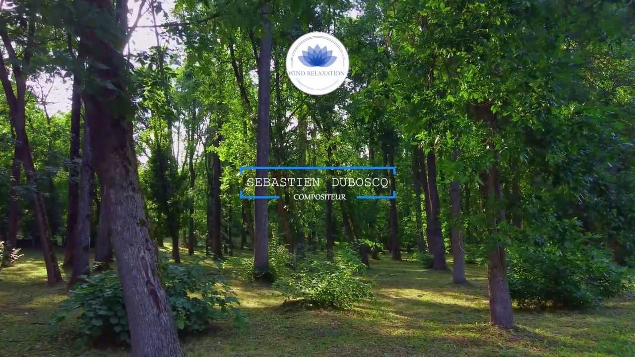 Une Merveilleuse Rencontre - Sébastien Duboscq - Relaxing Music
