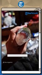 NGAKAK, Laki-laki Ini Tunjukkan Ciri-ciri Ikan Mati secara Syahid dan Mati Tersiksa karena Ghibah