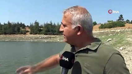 Bursa'da tedirgin eden olay! İnceleme başlatıldı