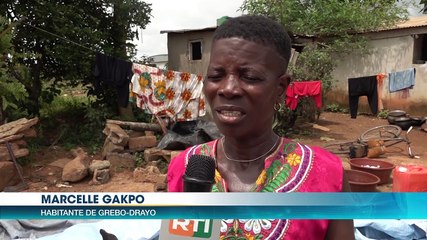 L’association "Walègligbè" de Grebo-Drayo (Gagnoa) s’organisent pour la culture du riz