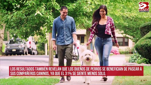 Los dueños de perros son más felices que los que no tienen mascotas