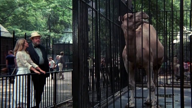 Un coin tranquille Bande-annonce VO