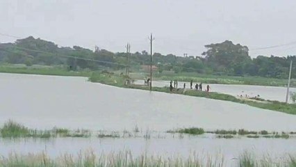 खगड़िया: खतरे के निशान से ऊपर पहुंची बागमती नदी का जलस्तर, बाढ़ का खतरा
