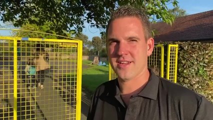 Rentrée des classes pour un papa à Bray