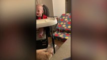 Baby Bursts Into Giggles When Small Dog Can't Reach Spaghetti | Wild-ish TV
