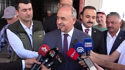 TMO a commencé à acheter des noisettes à Ordu： La première noisette a été vendue pour 90 lires