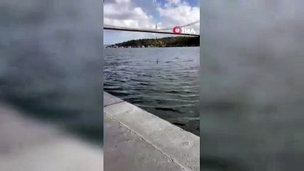 Fenerbahçe'nin yeni futbolcusu boğazda balık tuttu