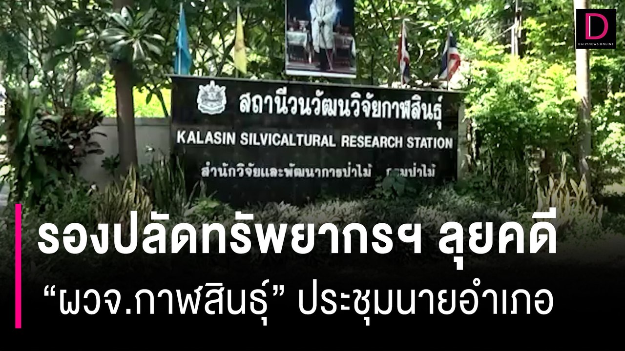 รองปลัดทรัพยากรฯ ลุยสางคดีตัดไม้พะยูง"ผวจ.กาฬสินธุ์"ประชุมด่วนนายอำเภอ | HOTSHOT เดลินิวส์ 28/08/66