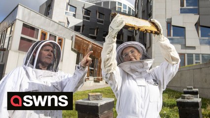 Meet the 18-year-old Beekeeper who looks after million bees on top of Scottish Parliament