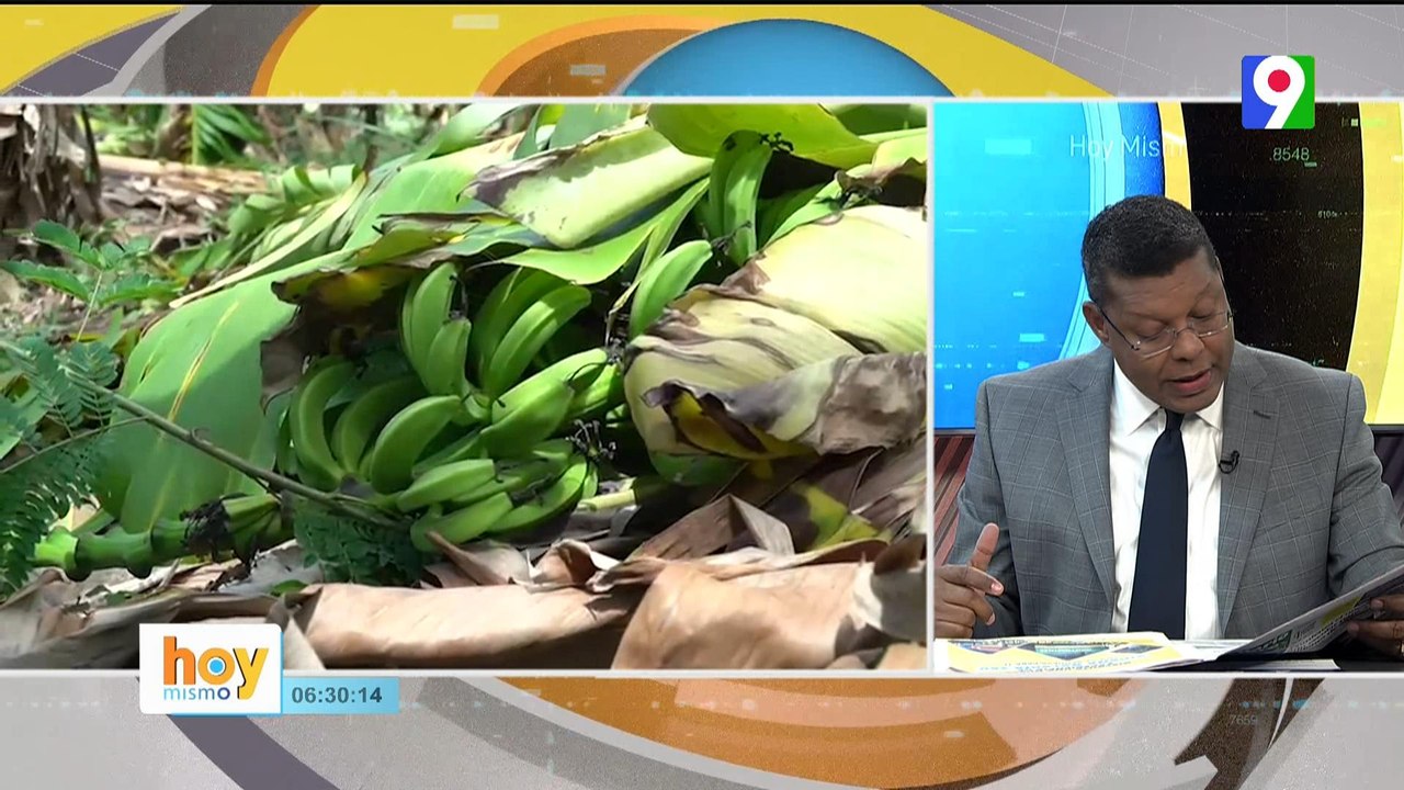 Agricultura asegura los daños de tormenta Franklin pueden superar los Mil Millones de pesos |Hoy Mismo