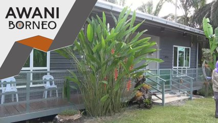 Beri fokus kepada peluang perniagaan hiliran buat petani