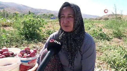 Kırıkkale'de geçmişi bir asır öncesine dayanıyor, çuvalı 150 TL!