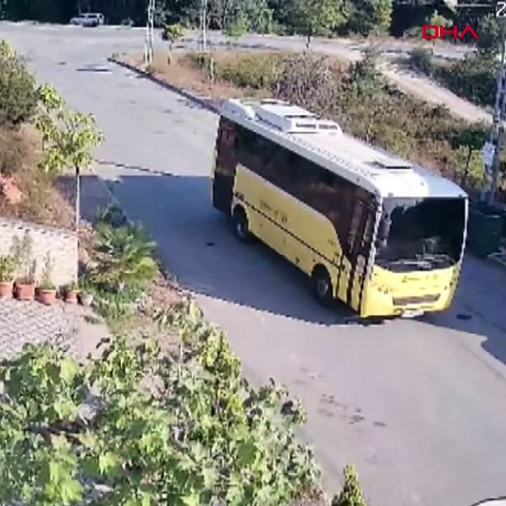 İETT otobüsü köpeği ezdi, şoför kaçtı