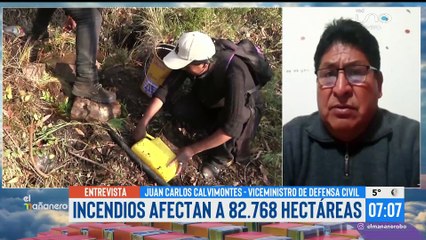 Reporte de incendios, Viceministro de Defensa Civil