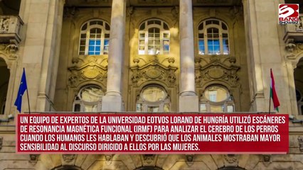 Los perros escuchan más a las mujeres que los hombres