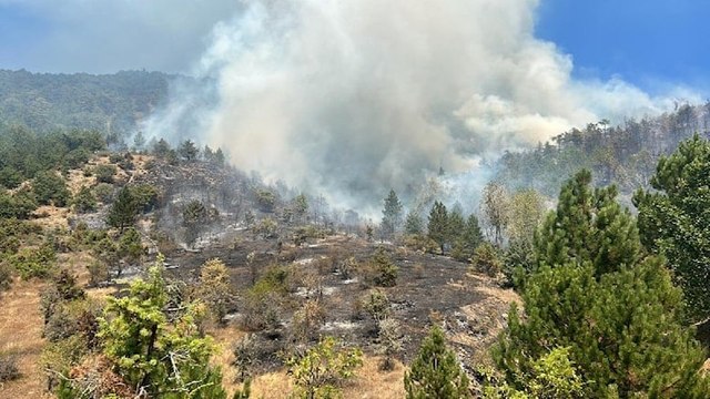 Ilgaz’da orman yangını çıktı
