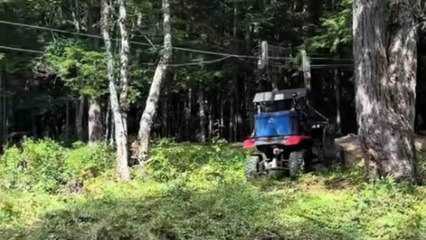 Man in a 4x4 proves his love for thrills by effortlessly ziplining over river