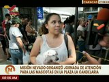 Caracas | Misión Nevado realizó jornada para las mascotas en Plaza La Candelaria