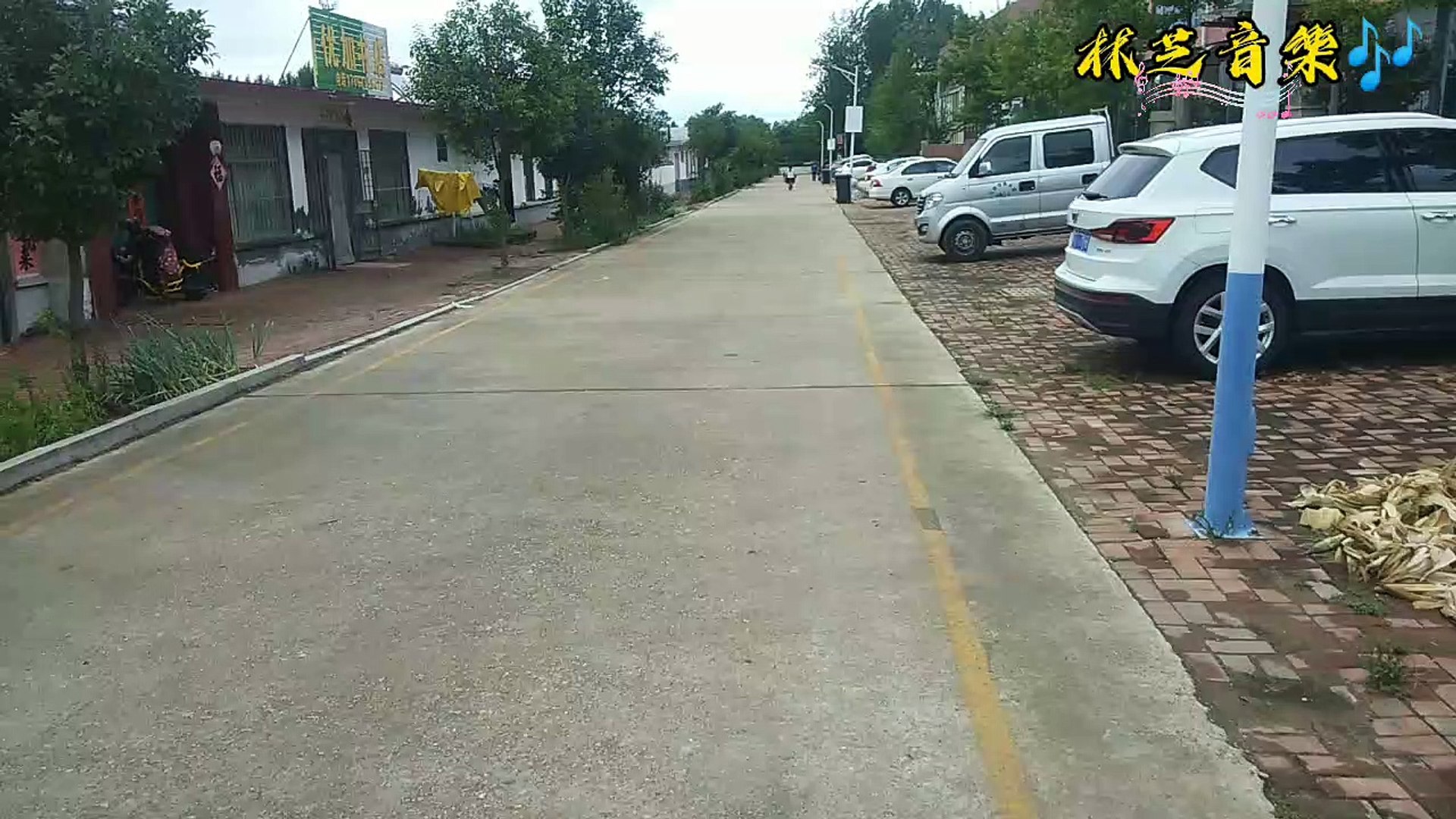 林芝音樂Linzhiyinyue(籠)ケージ#抖音流行歌曲 #抖音2023新歌 #tiktokvideo #抖音神曲2023