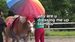 These People Are Just 'HORSING AROUND'!Funny Animal Videos   AFV 2023