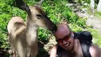 OMG! That Iguana STOLE Her PIZZA!    Funniest Animal Attacks   AFV 2021